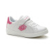 Lotto 1973 AMF MCR CL S